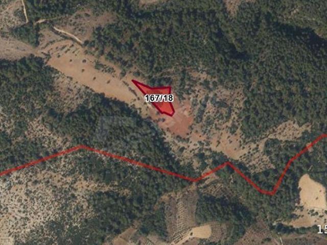 Muğla Menteşe Çiftlik mahallesinde 4900 m Satılık tarla.