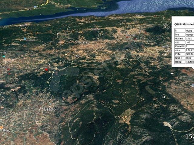 Muğla Menteşe Çiftlik mahallesinde 7001 m Satılık tarla.