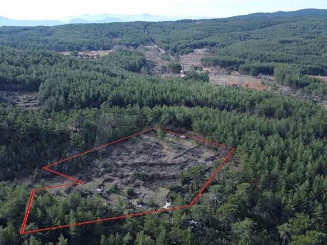 MUĞLA MENTEŞE K.KUYUCAKTA 8.618,48 M2 SATILIK TARLA