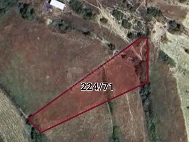 Muğla Menteşe Kıran'da 915 m2 Tek Tapu Yatırımlık Tarla