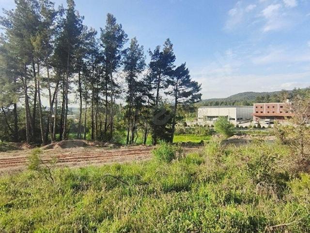 Muğla Menteşe Kafacada Yatırımlık ve İnşaata Hazır Arsa