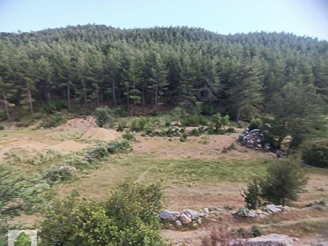 MUĞLA MENTEŞE KIRAN'DA TİNY HOUSE'A UYGUN SATILIK TARLA.