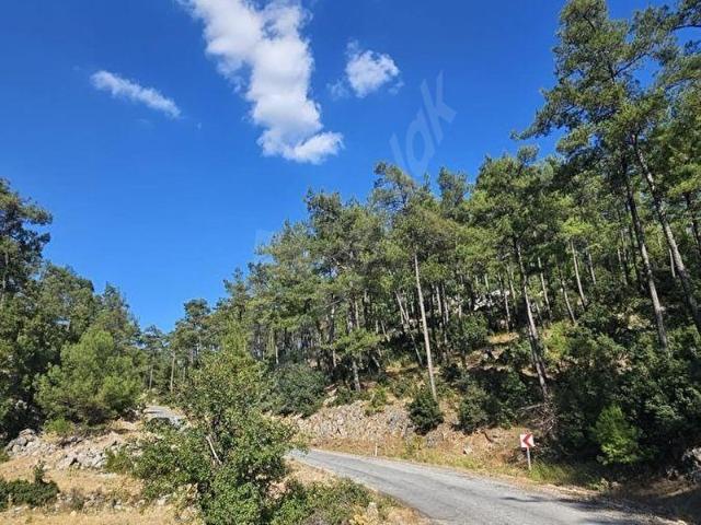 Muğla Menteşe Sarnıçta 985 M Düz Arazi Asfalta 50 Metre