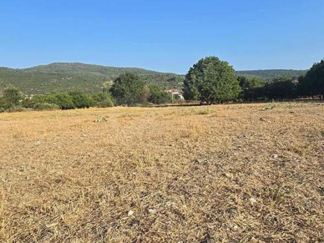 Muğla Menteşe Yeşilyurt Mah Bağ Evi Yapılabilir Satılık Tarla