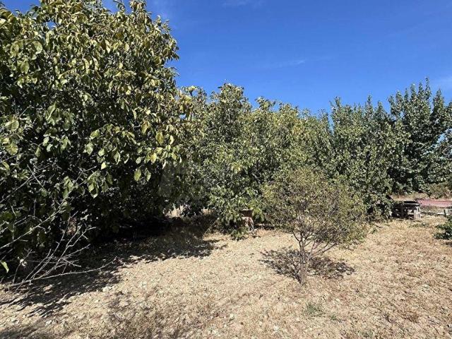 Muğla Menteşe Yeşilyurt Mah. Satılık 642 m2 Tarla