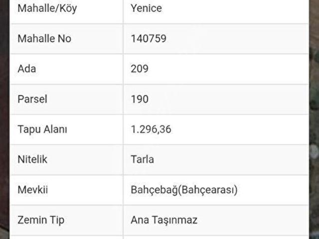 MUĞLA MENTEŞE YENİCE SATILIK TARLA