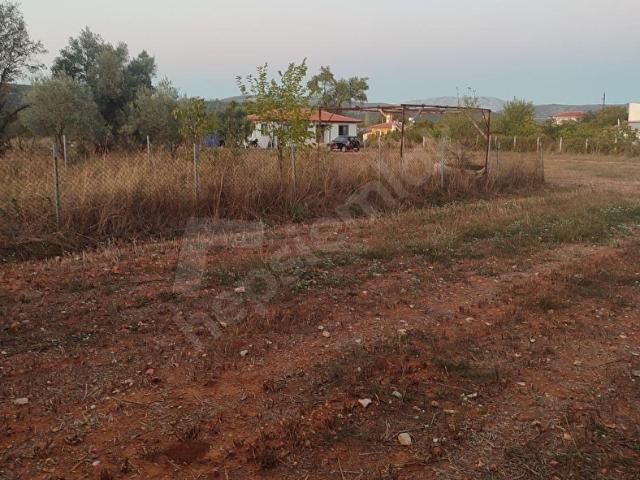 MUĞLA MENTEŞE YERKESİK TE 240 M2 SATILIK HOBY BAHÇESİ