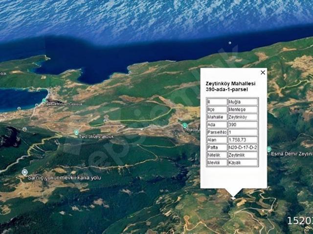 Muğla Menteşe Zeytinköyde denize yakın Satılık 1759 m Tarla.