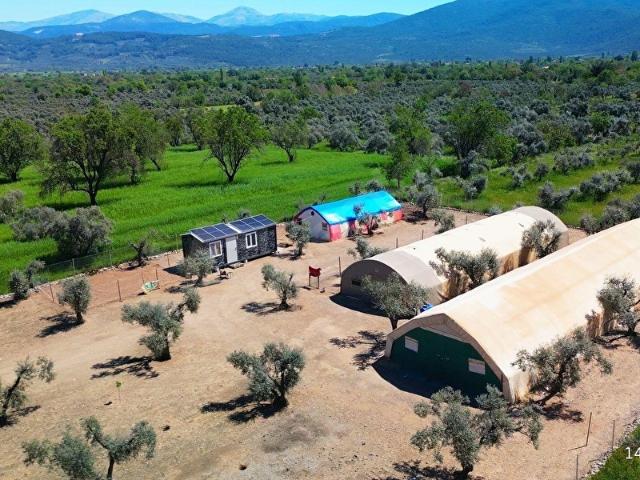 Muğla Menteşe'de Satılık Tavuk Çiftliği