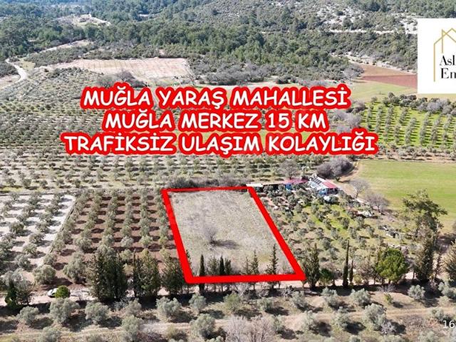 Muğla Merkez Yaraş'ta resmi yolu mevcut verimli 2 dönüm arazi