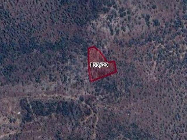 MUĞLA MİLASTA 485 M ZEYTİNLİK