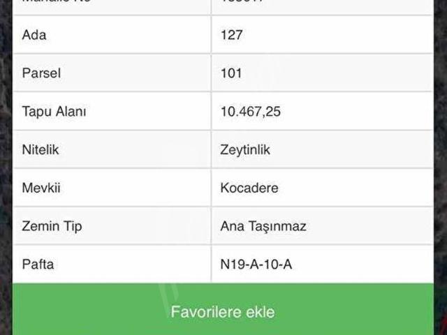 MUĞLA MİLASTA YATIRIMLIK ARSA