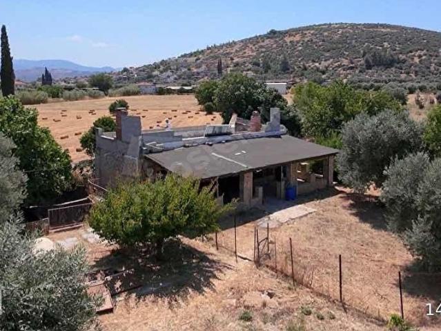 MUĞLA MİLASTA MÜSTAKİL PARSEL, İÇİNDE EVİ OLAN NARENCİYE BAHÇESİ