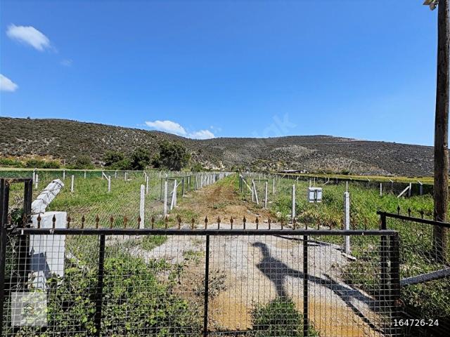 MUĞLA MİLAS'TA SATILIK 250 m2 TURİZİM BÖLGESİNDE BAHÇELER