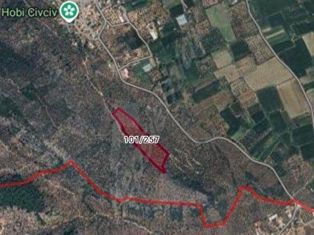 MUĞLA MİLAS ÇANDIR MAH 23.DÖNÜM ZEYTİNLİK SATILIK