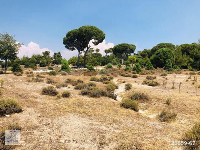 MUĞLA MİLAS AKKOVANLIK'DA 9.108 M KAÇMAZ KUPON TARLA !