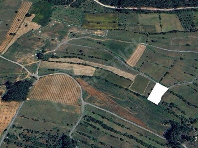 MUĞLA, MİLAS BAŞKA KÖY PROJESİNDE, 135 ADA 70 PARSEL 2. EL SATILIK ARAZİ