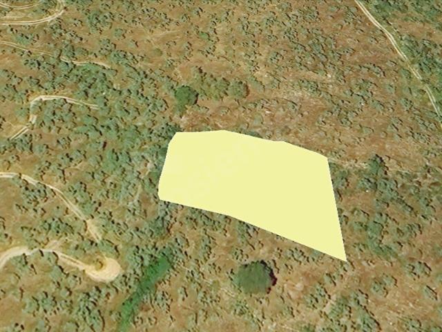 MUĞLA, MİLAS, BAFA, AĞADERESİ MEVKİİ, 2.382 m TEK TAPU, MÜSTAKİL PARSEL ZEYTİNLİK