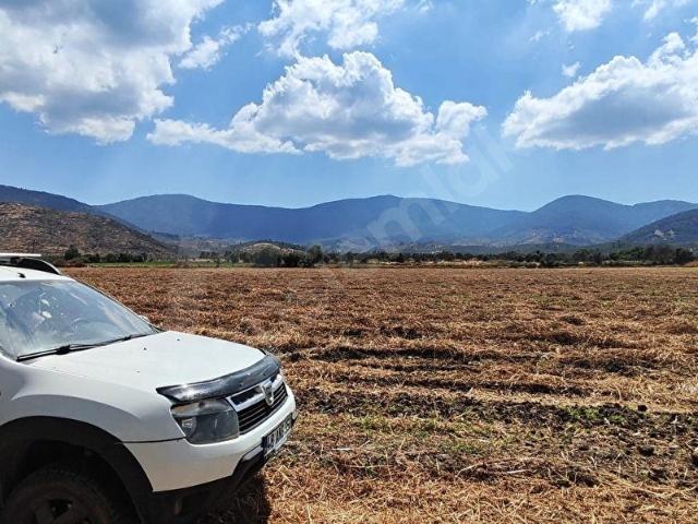 MUĞLA MİLAS BAFA'DA 4.707M2 TARLA