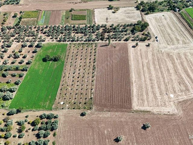 Hemen Kullanıma Uygun Havalimanı YanıElektrikli ve Sulu Tarla