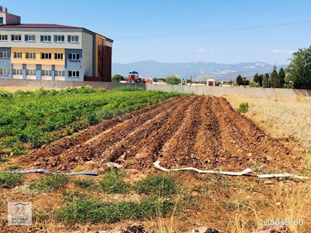 MUĞLA MİLAS BEÇİN MUTLUCA'DA MUHTEŞEM YATIRIMLIK ARSA!