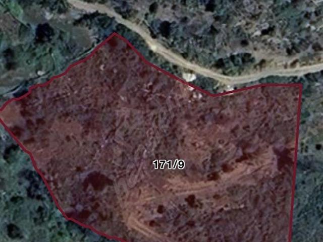 MUĞLA MİLAS GÖKBEL SATILIK TARLA