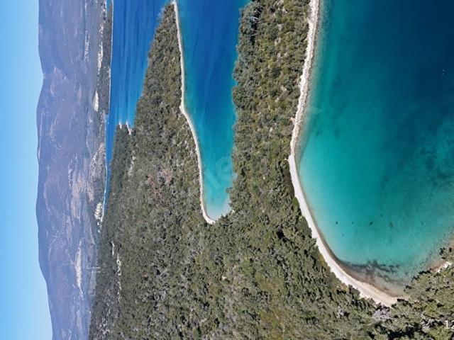 MUĞLA MİLAS KAZIKLI'DA FULL DENİZ MANZARALI 672 M2 ZEYTİNLİK