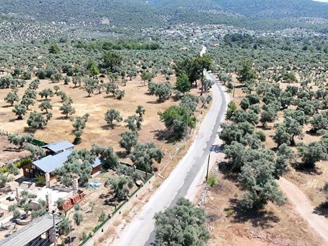 MUĞLA MİLAS KAZIKLIDA GELECEĞİ PARLAK YATIRIM FIRSATI!