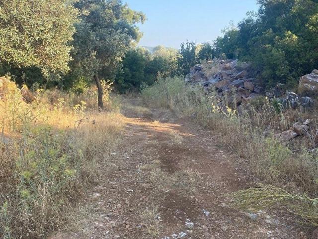 MUĞLA MİLAS KALINAĞIL'DA YATIRTIM FIRSATI !