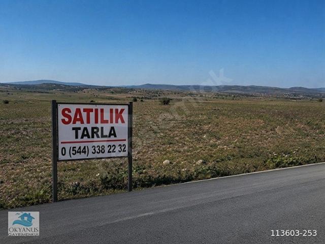 MUĞLA MİLAS KARAKUYU'DA ANAYOLA SIFIR YATIRIMLIK TARLA