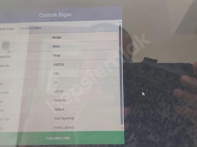 MUĞLA MİLAS PİNAR KÖYÜ GİRİŞİNDE BÜYÜK KISMI YOLA CEPHE KÜÇÜK PARSEL ZEYTİNLİK