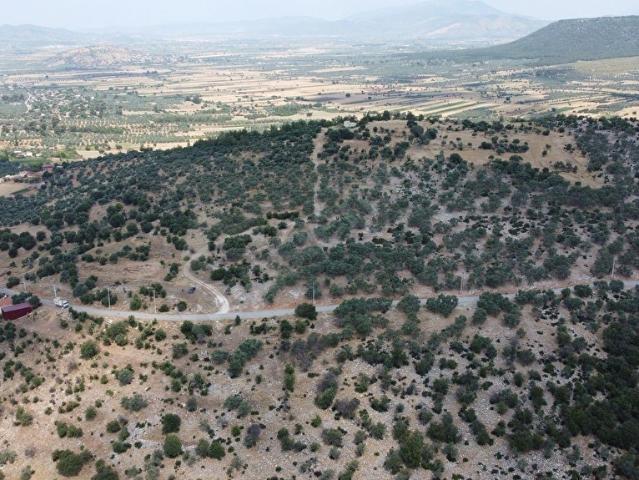 Muğla Milas Çamovalı'da 366 M. Ana Yol Cepheli Satılık Arazi.