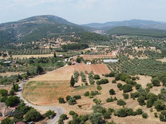 Muğla Milas Çamovalı'da Satılık 12 Dönüm Verimli Tarla.
