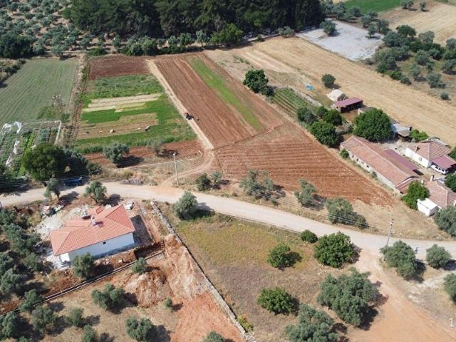 Muğla Milas Çamovalı'da Satılık Köy İçi İmarlı 4 Dönüm Tarla.