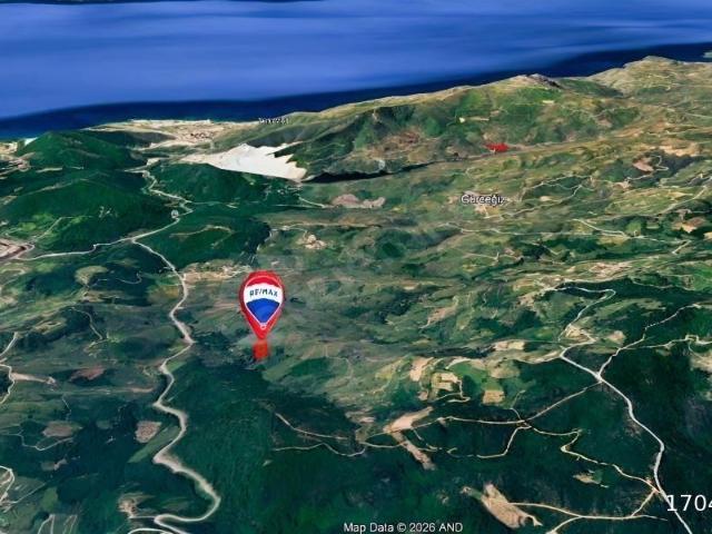 MUĞLA MILAS BAYIR'DA SATILIK ZEYTINLIK