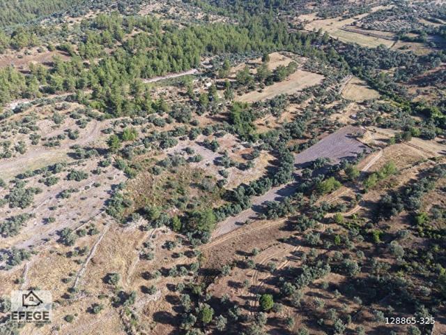 Muğla Milas Beyciler'de İmar Sınırında Satılık Tarla.