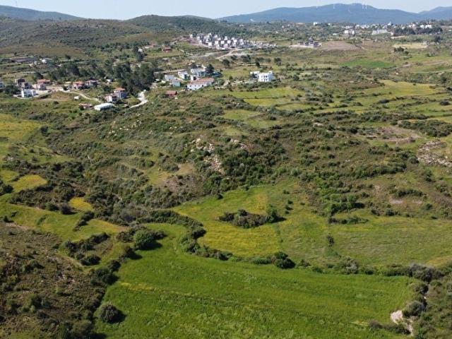 Muğla Milas Beyciler'de İmar Sınırında Satılık 11,5 Dönüm Arazi