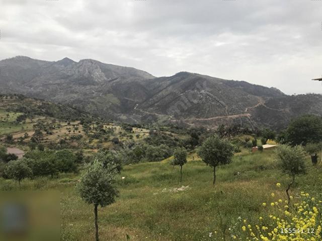 Muğla Milas Bozalan da kırsal yerleşim alanı imarlı arazi