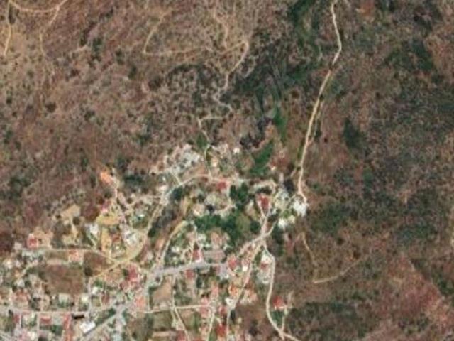 Muğla Milas Dörttepe de satılık bakımlı zeytinlik