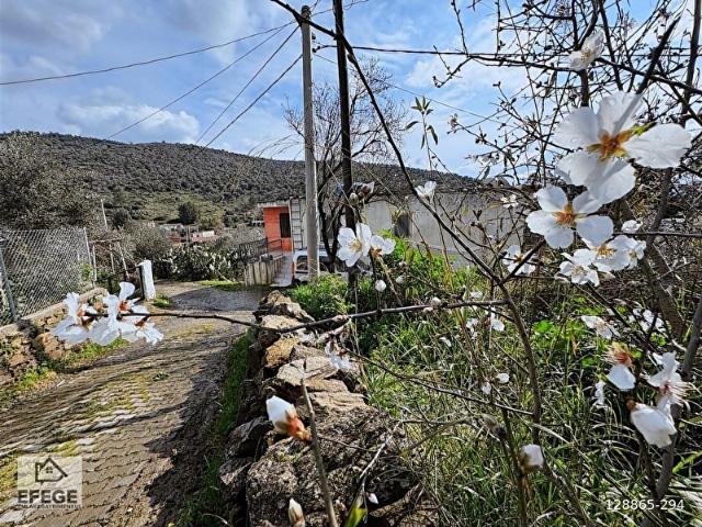 Muğla Milas Dörttepe'de Köyiçi 2 Dönüm Satılık Arsa.