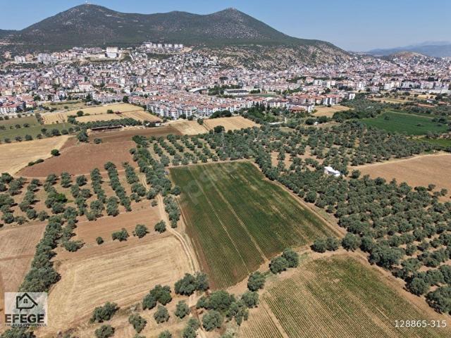 Muğla Milas Şehir Merkezinde Satılık 11.748 m2 Tarla.