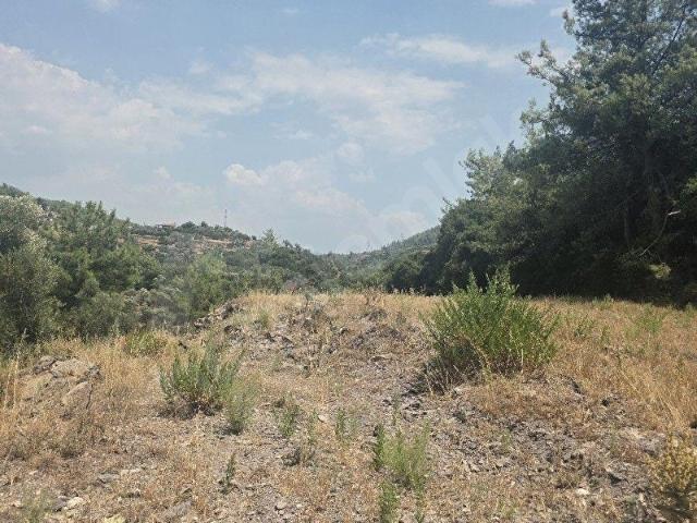 Muğla Milas Çiftlik Mahallesinde Satılık 2 Dönüm Tarla