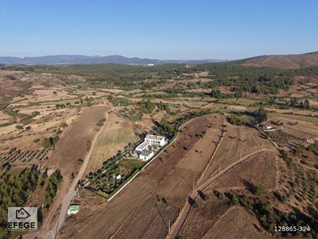 Muğla Milas Kısırlar'da Satılık 15 Dönüm Arazi.