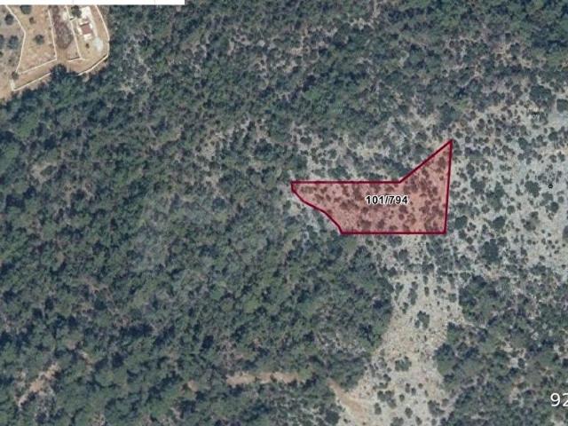 Muğla Milas Kalınağıl'da 3.072 m2 Satılık Zeytinlik