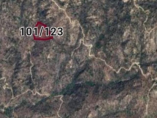 Muğla Milas Karahayıt Mahallesinde Satılık Zeytinlik