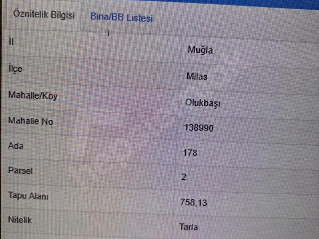 Muğla Milas Olukbaşı mahallesinde satılık tarla