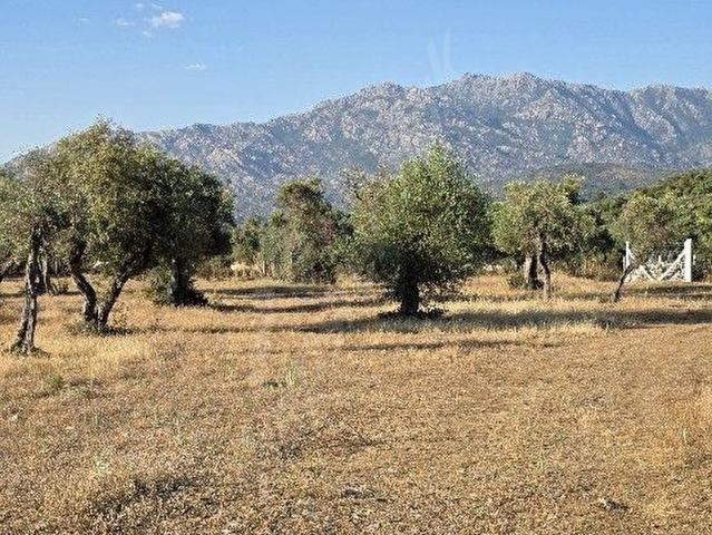 Muğla Milas Pınarcık Mahallesi Satılık İmarlı Arsa
