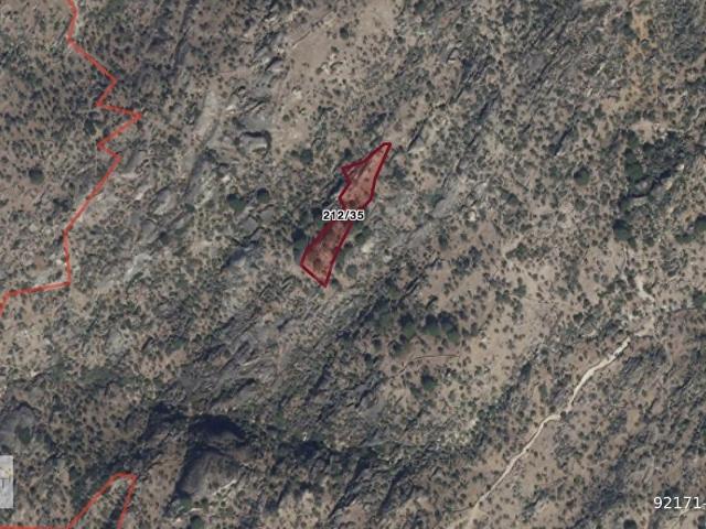 Muğla Milas Sarıkaya'da 2.875 m2 Satılık Zeytinlik