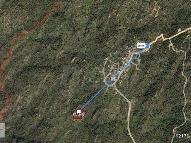 Muğla Milas Sarıkaya'da 3.583 m2 Satılık Zeytinlik