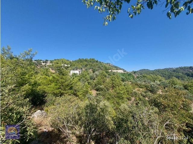 Muğla Ortaca Gökbelde Satılık Müstakil Tapulu 320 M2 Hobi Bahçesi